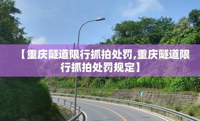 【重庆隧道限行抓拍处罚,重庆隧道限行抓拍处罚规定】 【重庆隧道限行抓拍处罚,重庆隧道限行抓拍处罚规定】