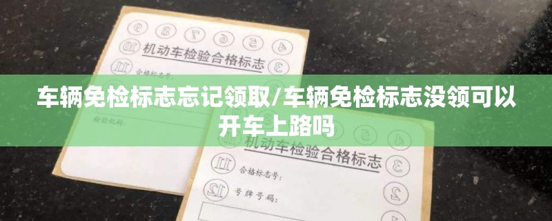 车辆免检标志忘记领取/车辆免检标志没领可以开车上路吗 车辆免检标志忘记领取/车辆免检标志没领可以开车上路吗