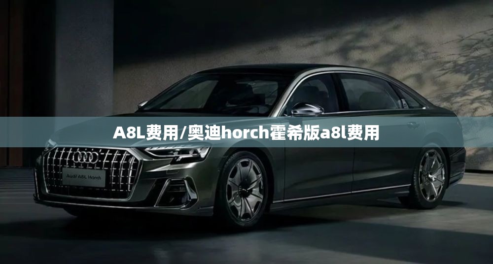A8L费用/奥迪horch霍希版a8l费用