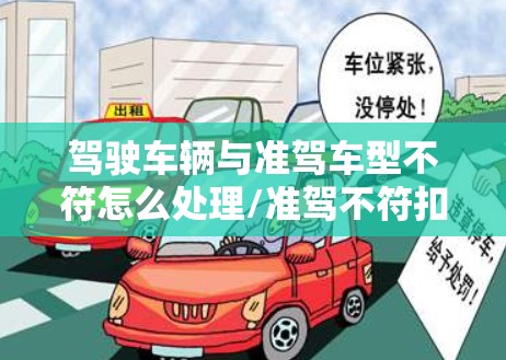 驾驶车辆与准驾车型不符怎么处理/准驾不符扣9分还是12分