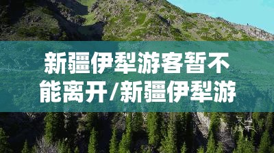 新疆伊犁游客暂不能离开/新疆伊犁游客可以离开了吗