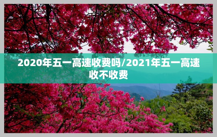 2020年五一高速收费吗/2021年五一高速收不收费