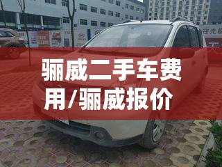 骊威二手车费用/骊威报价 二手车