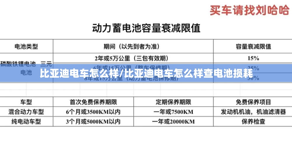 比亚迪电车怎么样/比亚迪电车怎么样查电池损耗