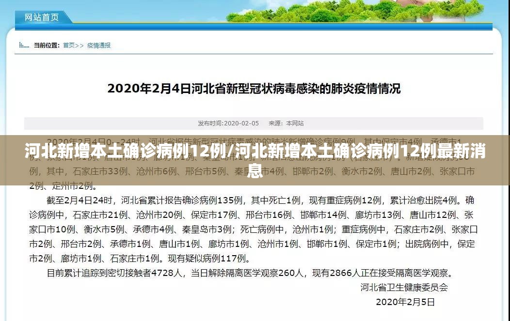 河北新增本土确诊病例12例/河北新增本土确诊病例12例最新消息