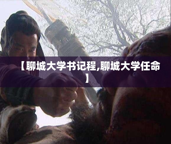 【聊城大学书记程,聊城大学任命】
