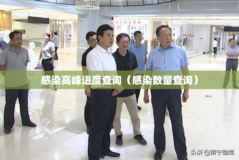 感染高峰进度查询（感染数量查询）