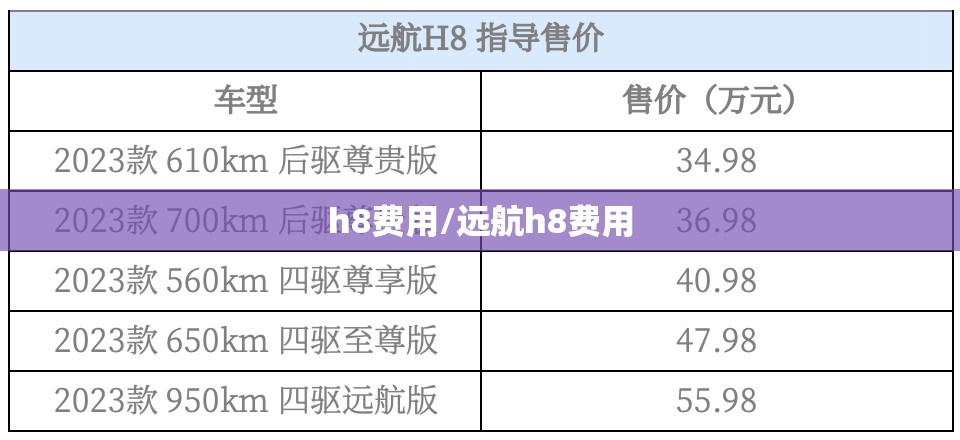 h8费用/远航h8费用