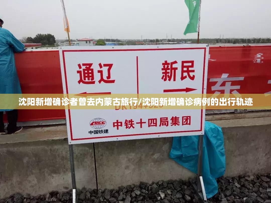 沈阳新增确诊者曾去内蒙古旅行/沈阳新增确诊病例的出行轨迹