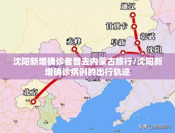 沈阳新增确诊者曾去内蒙古旅行/沈阳新增确诊病例的出行轨迹