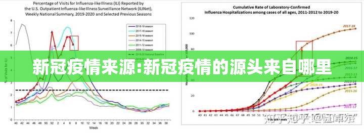 新冠疫情来源:新冠疫情的源头来自哪里