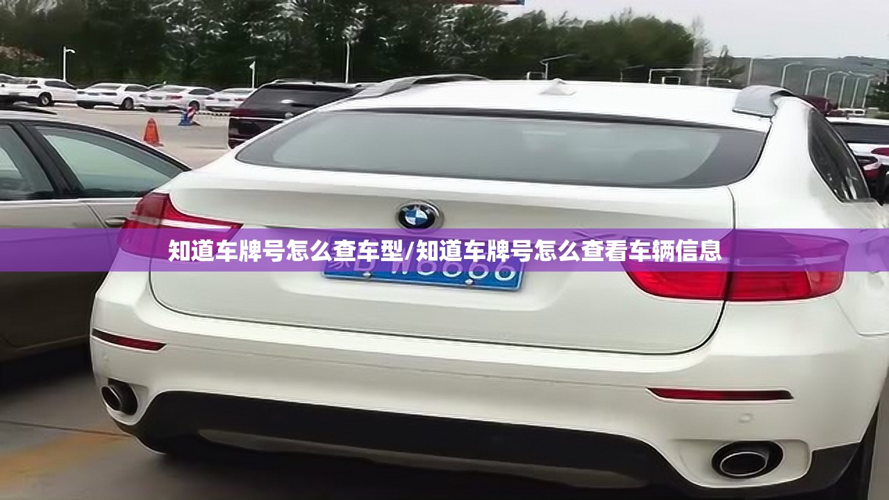 知道车牌号怎么查车型/知道车牌号怎么查看车辆信息
