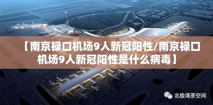 【南京禄口机场9人新冠阳性/南京禄口机场9人新冠阳性是什么病毒】 【南京禄口机场9人新冠阳性/南京禄口机场9人新冠阳性是什么病毒】