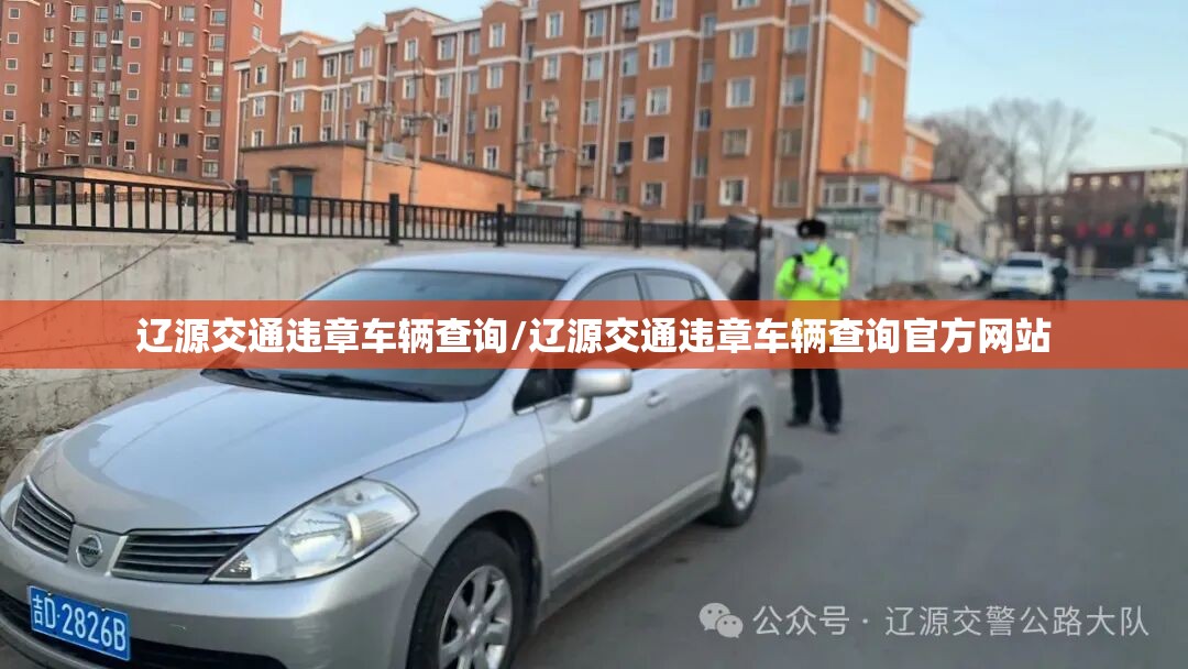 辽源交通违章车辆查询/辽源交通违章车辆查询官方网站