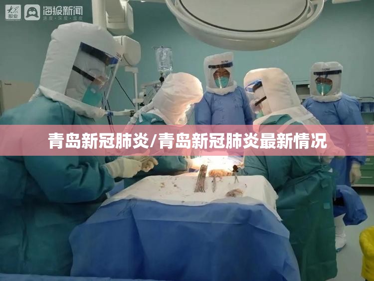青岛新冠肺炎/青岛新冠肺炎最新情况