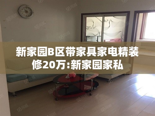新家园B区带家具家电精装修20万:新家园家私