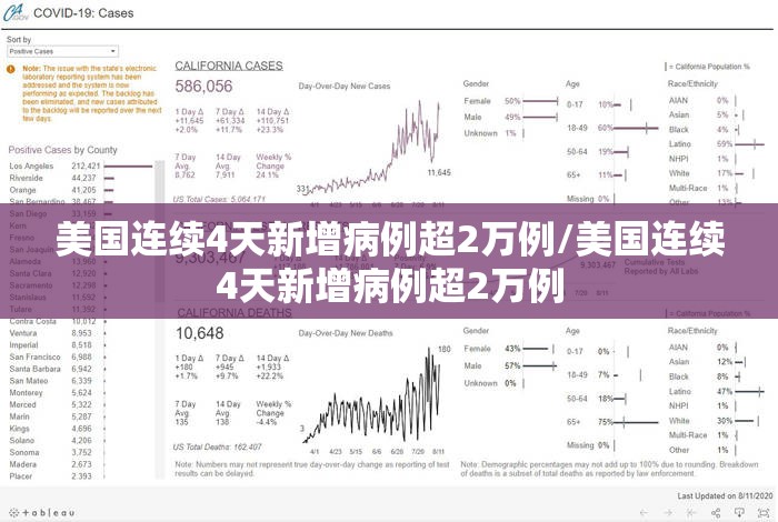 美国连续4天新增病例超2万例/美国连续4天新增病例超2万例