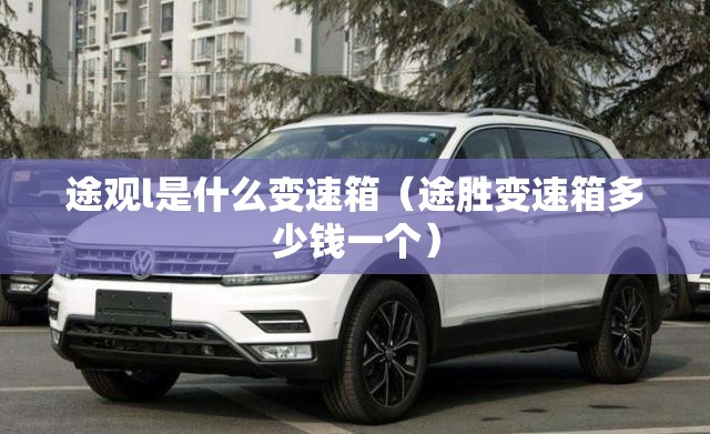 途观l是什么变速箱（途胜变速箱多少钱一个）