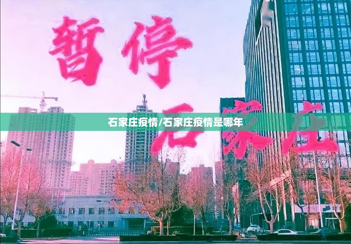 石家庄疫情/石家庄疫情是哪年