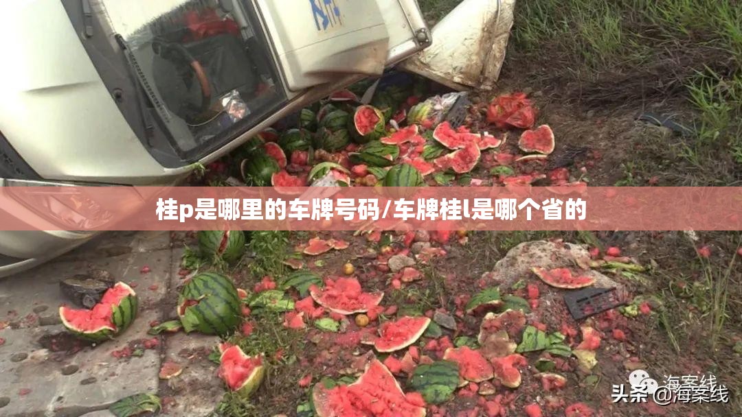 桂p是哪里的车牌号码/车牌桂l是哪个省的