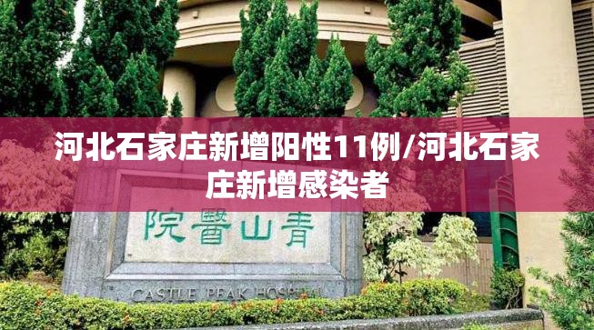 河北石家庄新增阳性11例/河北石家庄新增感染者