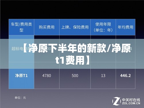 【净原下半年的新款/净原t1费用】