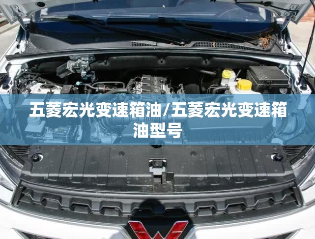 五菱宏光变速箱油/五菱宏光变速箱油型号