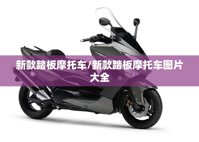 新款踏板摩托车/新款踏板摩托车图片大全