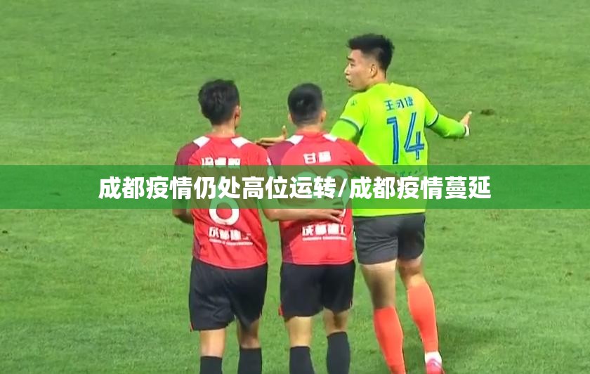 成都疫情仍处高位运转/成都疫情蔓延