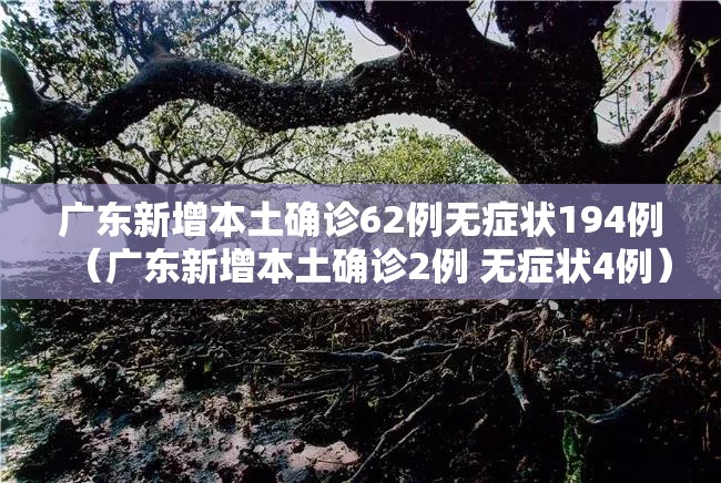广东新增本土确诊62例无症状194例（广东新增本土确诊2例 无症状4例）