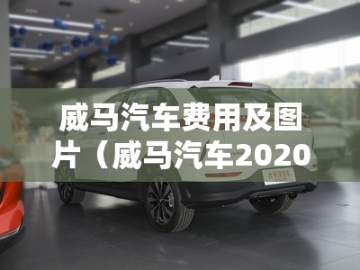 威马汽车费用及图片（威马汽车2020款报价）