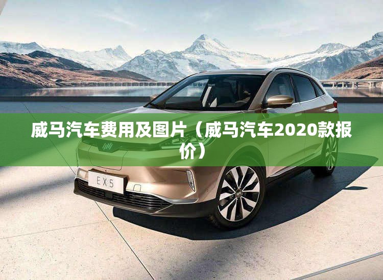 威马汽车费用及图片（威马汽车2020款报价）