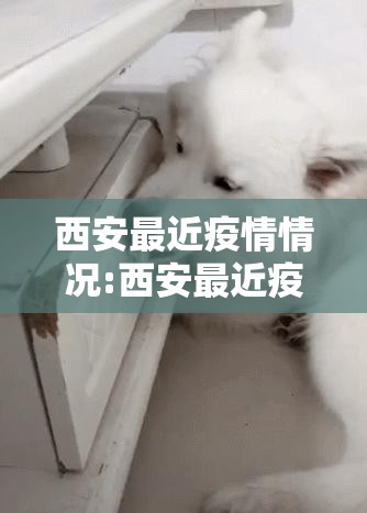 西安最近疫情情况:西安最近疫情又严重了吗