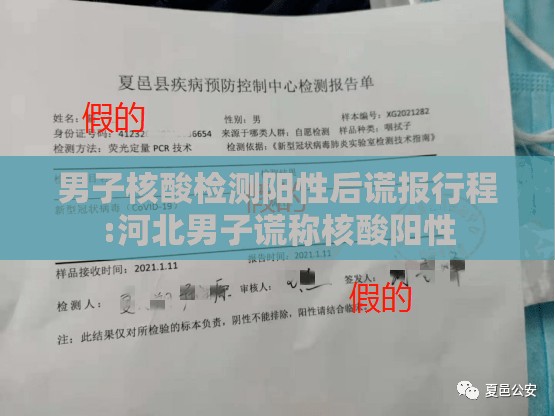 男子核酸检测阳性后谎报行程:河北男子谎称核酸阳性