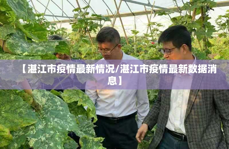 【湛江市疫情最新情况/湛江市疫情最新数据消息】