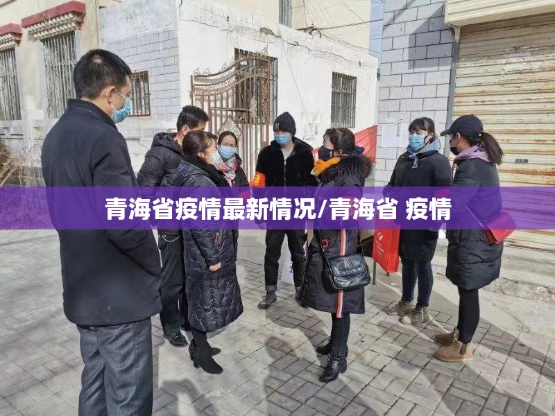 青海省疫情最新情况/青海省 疫情