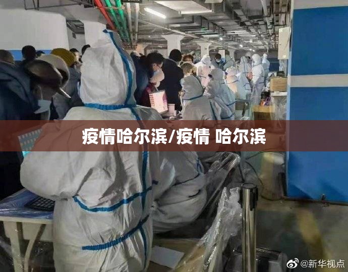 疫情哈尔滨/疫情 哈尔滨