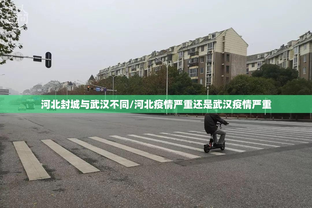 河北封城与武汉不同/河北疫情严重还是武汉疫情严重