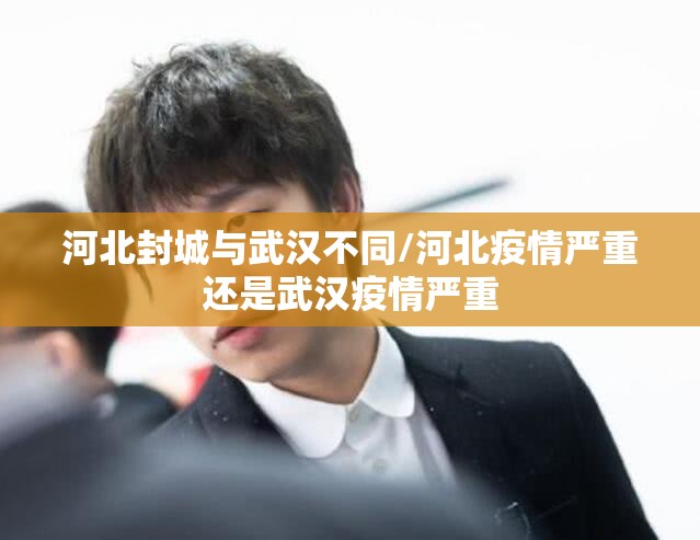 河北封城与武汉不同/河北疫情严重还是武汉疫情严重