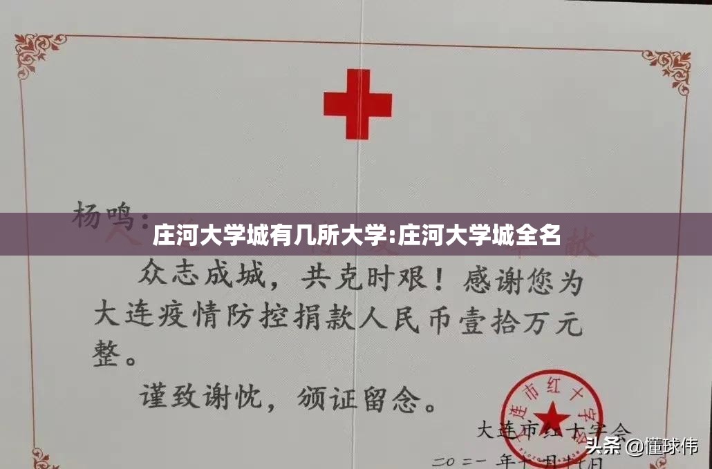 庄河大学城有几所大学:庄河大学城全名