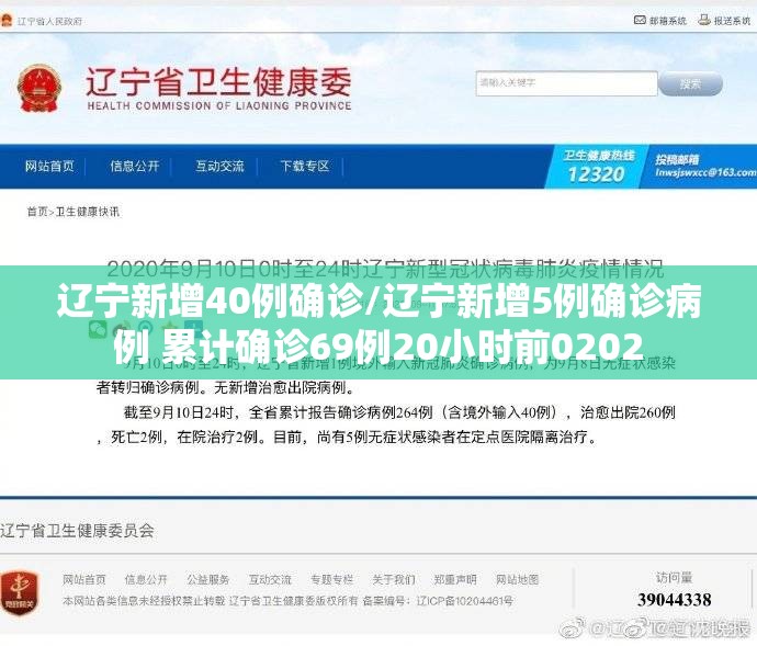 辽宁新增40例确诊/辽宁新增5例确诊病例 累计确诊69例20小时前0202