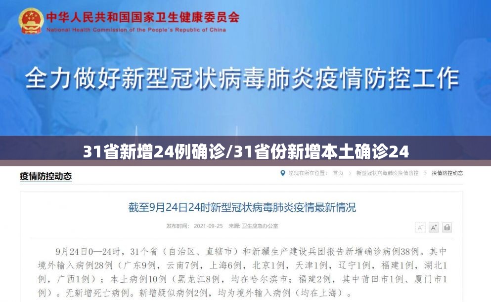 31省新增24例确诊/31省份新增本土确诊24