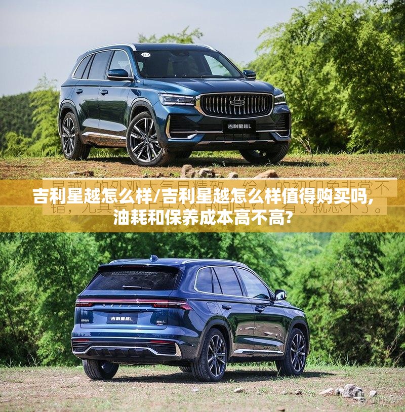 吉利星越怎么样/吉利星越怎么样值得购买吗,油耗和保养成本高不高?