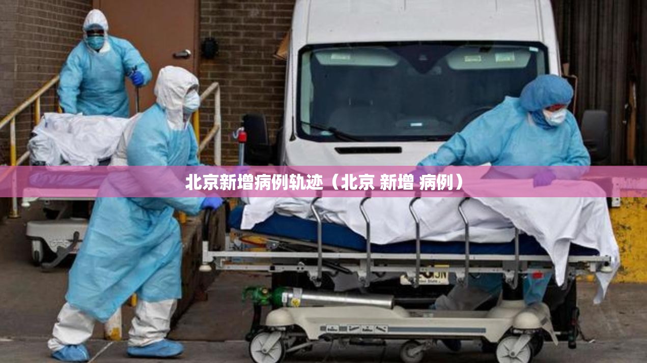 北京新增病例轨迹（北京 新增 病例）