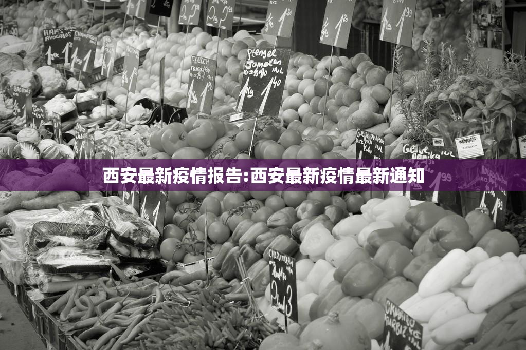 西安最新疫情报告:西安最新疫情最新通知