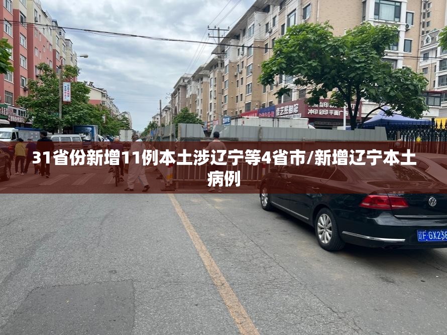 31省份新增11例本土涉辽宁等4省市/新增辽宁本土病例 31省份新增11例本土涉辽宁等4省市/新增辽宁本土病例