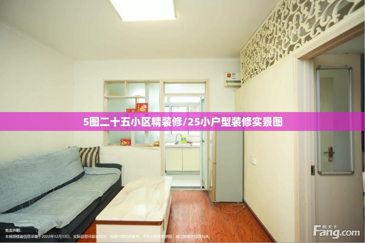 5图二十五小区精装修/25小户型装修实景图