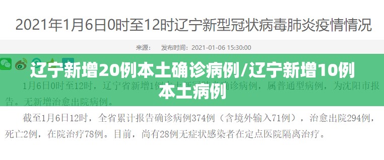 辽宁新增20例本土确诊病例/辽宁新增10例本土病例
