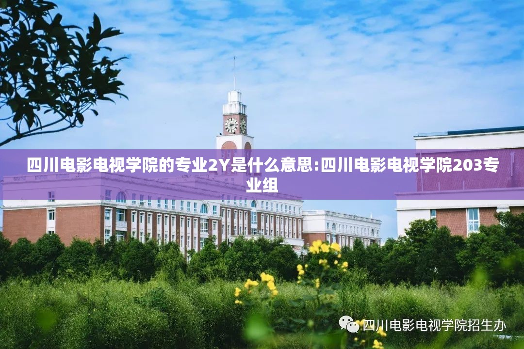 四川电影电视学院的专业2Y是什么意思:四川电影电视学院203专业组