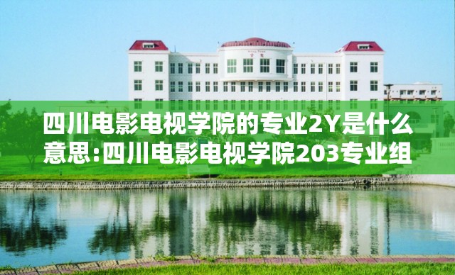 四川电影电视学院的专业2Y是什么意思:四川电影电视学院203专业组